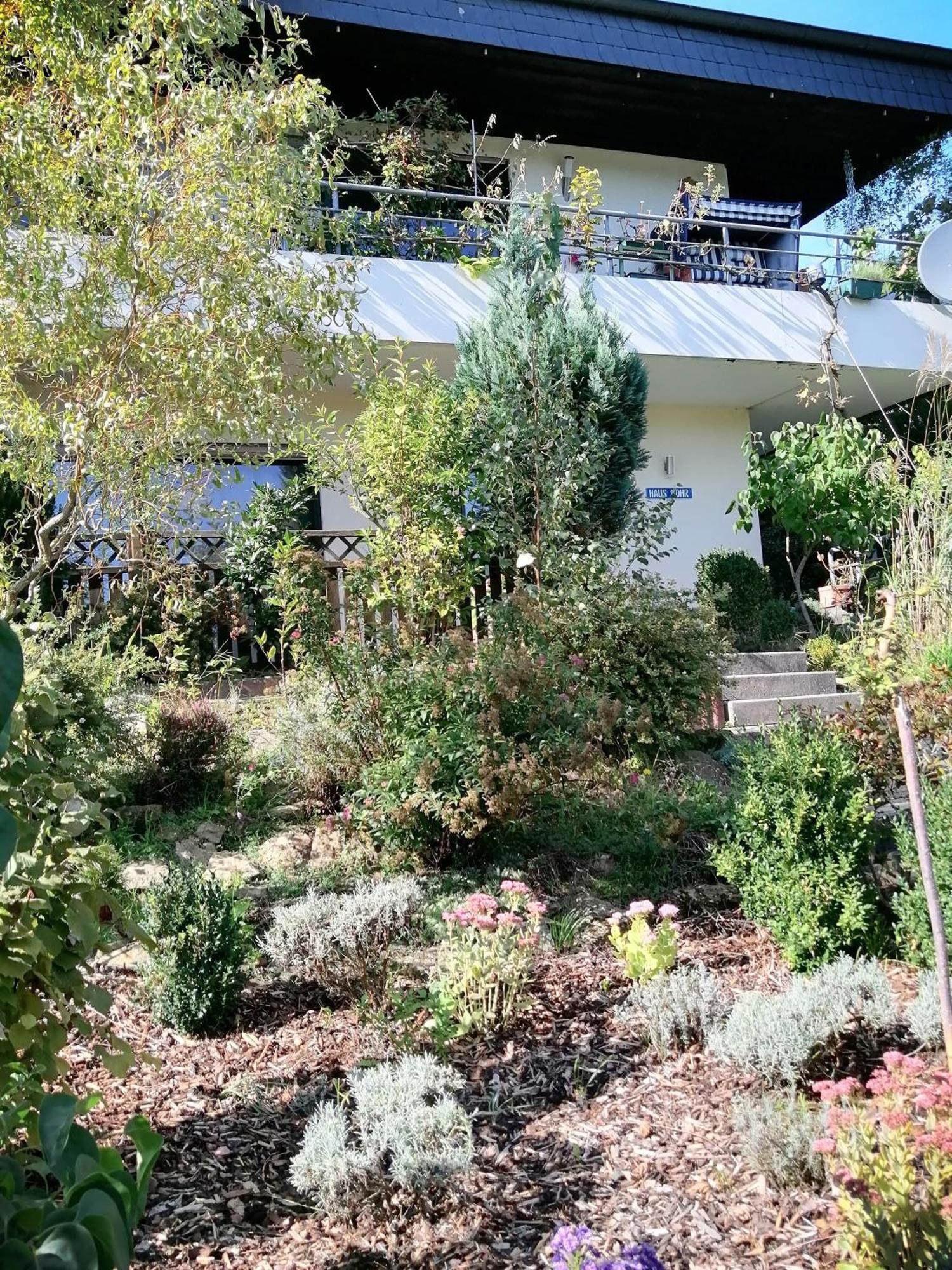 Haus Mohr - Ferienwohnung Im Taunus Weilmunster 外观 照片